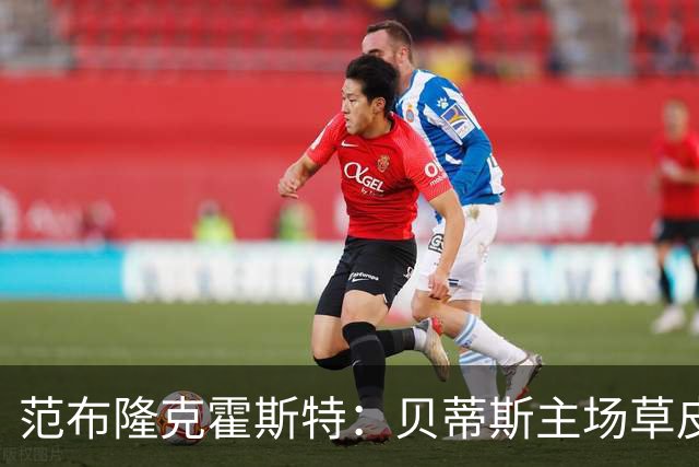 范布隆克霍斯特：贝蒂斯主场草皮不理想